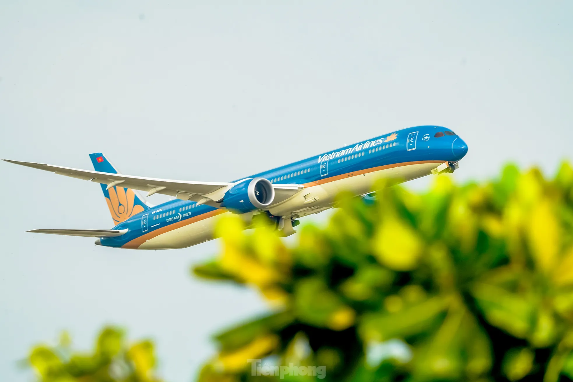 View đỉnh nóc vừa cà phê vừa săn 'chim sắt' ở Tân Sơn Nhất- Ảnh 7. View đỉnh nóc vừa cà phê vừa săn 'chim sắt' ở Tân Sơn Nhất- Ảnh 7.