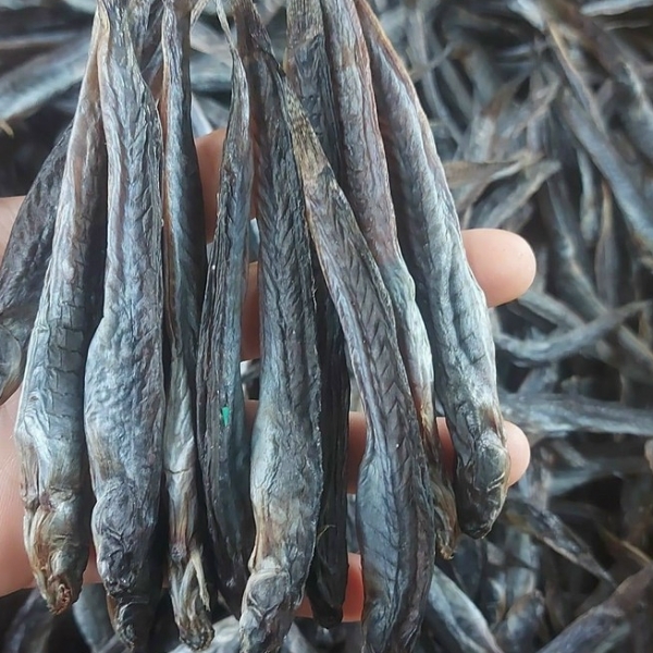 Loại cá 