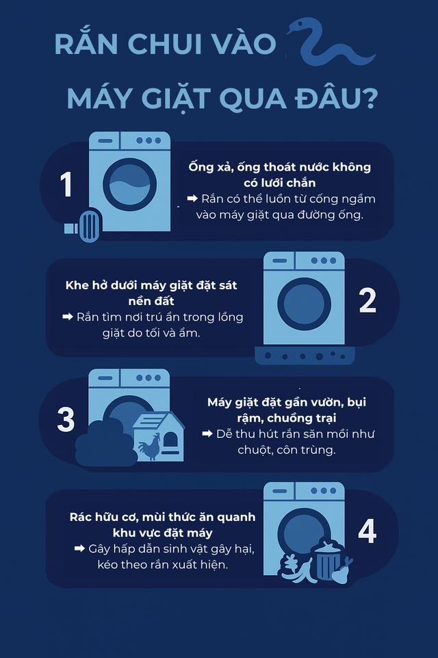 Kiểm tra máy giặt, người dùng tá hỏa phát hiện có rắn bên trong: Chúng đi vào từ đường nào?- Ảnh 3.