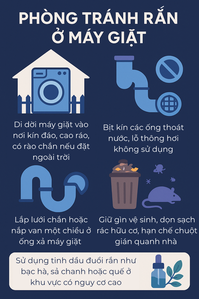 Kiểm tra máy giặt, người dùng tá hỏa phát hiện có rắn bên trong: Chúng đi vào từ đường nào?- Ảnh 5.