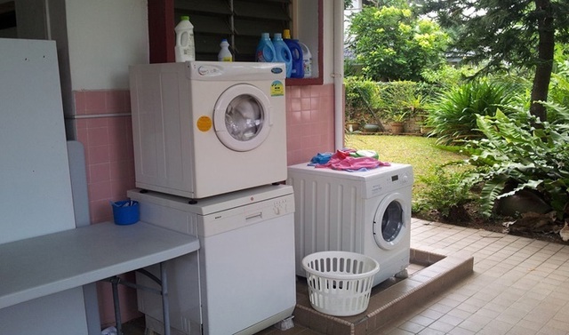 Kiểm tra máy giặt, người dùng tá hỏa phát hiện có rắn bên trong: Chúng đi vào từ đường nào?- Ảnh 2.