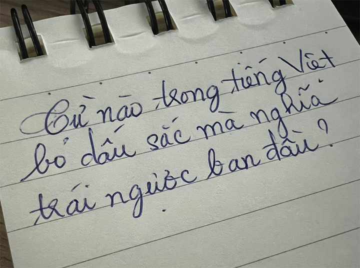 Từ nào trong Tiếng Việt bỏ dấu sắc mà nghĩa trái ngược ban đầu?- Ảnh 1.