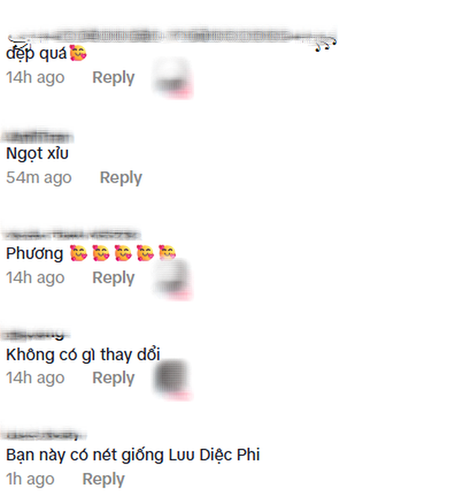Netizen vừa tìm ra Lưu Diệc Phi Việt Nam, khí chất đúng chuẩn 