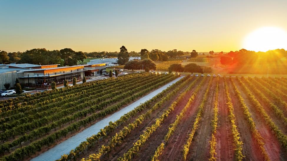Thưởng thức vang hảo hạng tại thung lũng Swan, Tây Australia- Ảnh 1.