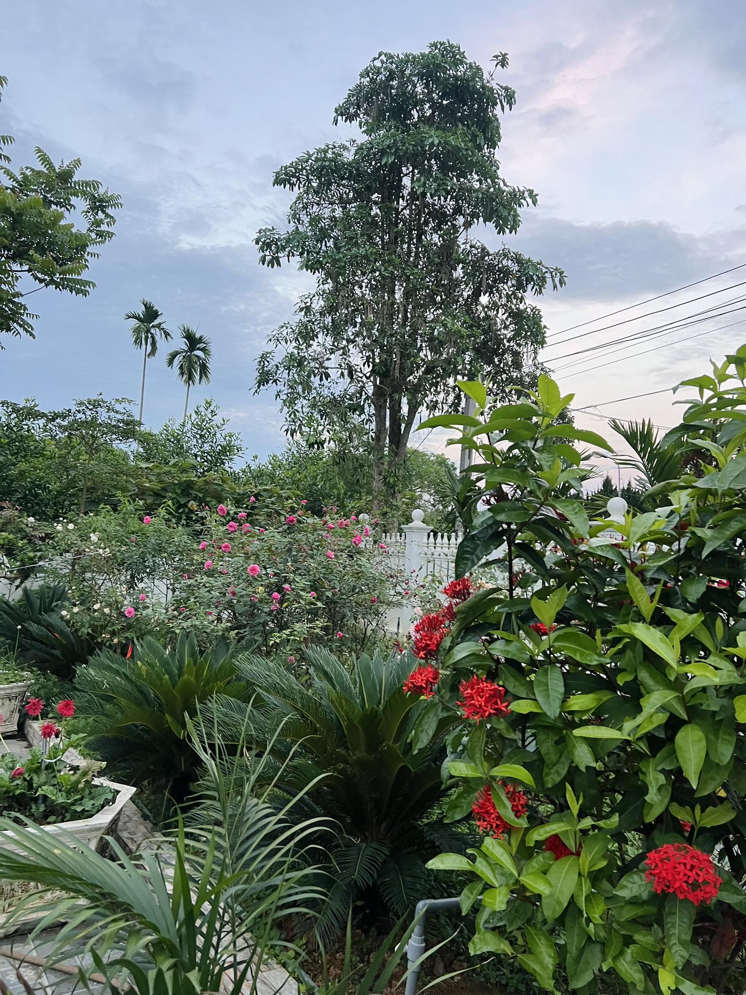 Từng sợ con thua thiệt vì bỏ phố về quê, bà mẹ Thanh Hóa giờ thở phào: "Làm tốt điều này, con ở đâu cũng trưởng thành tử tế"- Ảnh 9.
