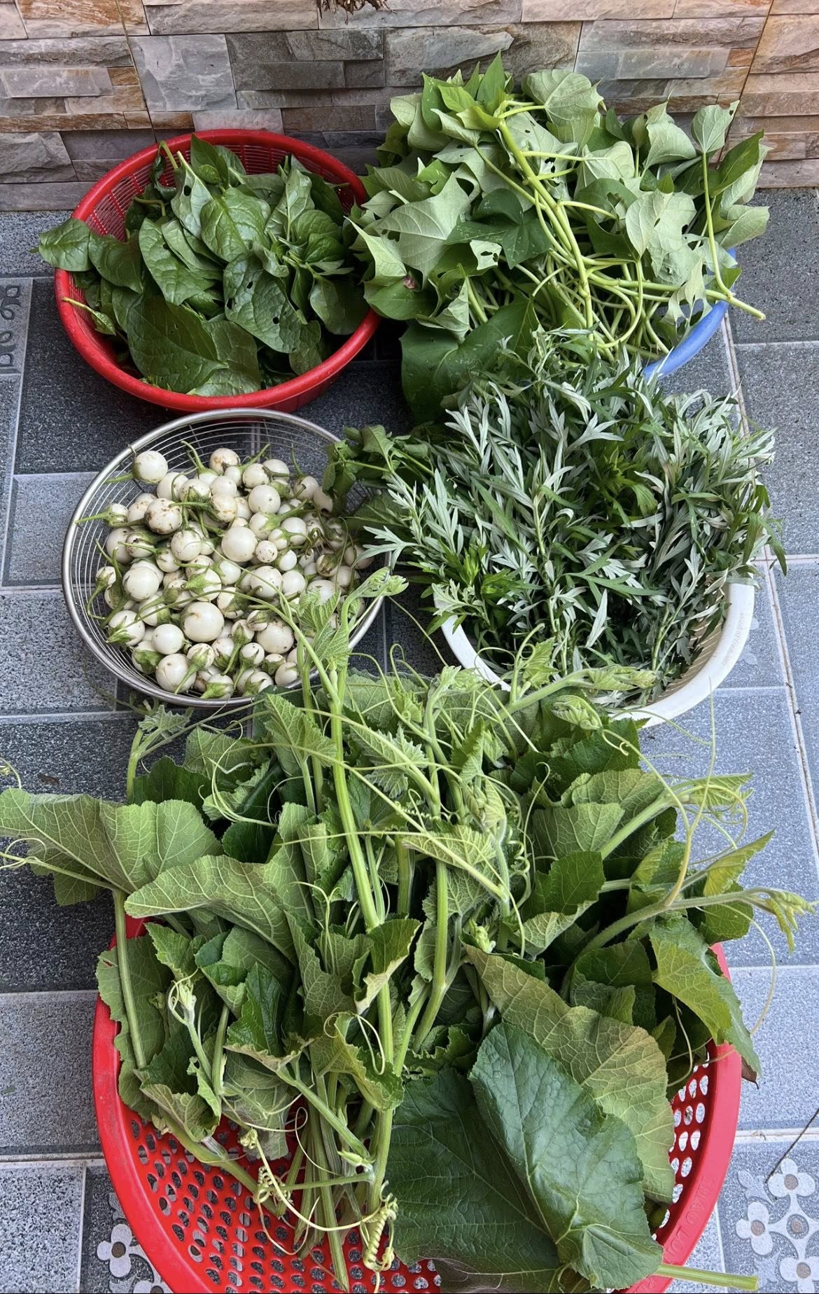 Từng sợ con thua thiệt vì bỏ phố về quê, bà mẹ Thanh Hóa giờ thở phào: "Làm tốt điều này, con ở đâu cũng trưởng thành tử tế"- Ảnh 10.