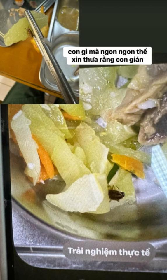 Trường Bách khoa lên tiếng vụ gần 180 sinh viên phản ánh bị đau bụng, nôn mửa sau bữa trưa quân sự- Ảnh 2.