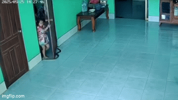 "Khối nghỉ hè" la hét thất thanh khi bất ngờ giẫm trúng vị khách lạ, phản ứng của đối phương khiến nhiều người nín thở- Ảnh 1.