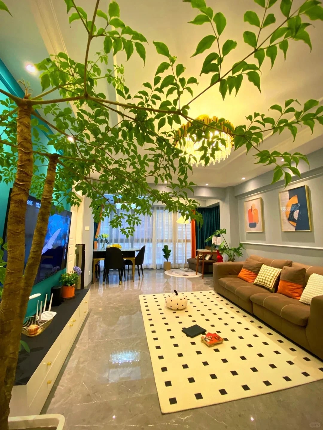 Khuyên thật lòng: Phòng khách trồng đúng 3 cây này, vượng khí dâng cao, tiền về như nước- Ảnh 2.