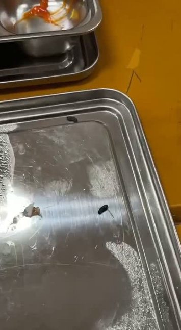 Trường Bách khoa lên tiếng vụ gần 180 sinh viên phản ánh bị đau bụng, nôn mửa sau bữa trưa quân sự- Ảnh 3.