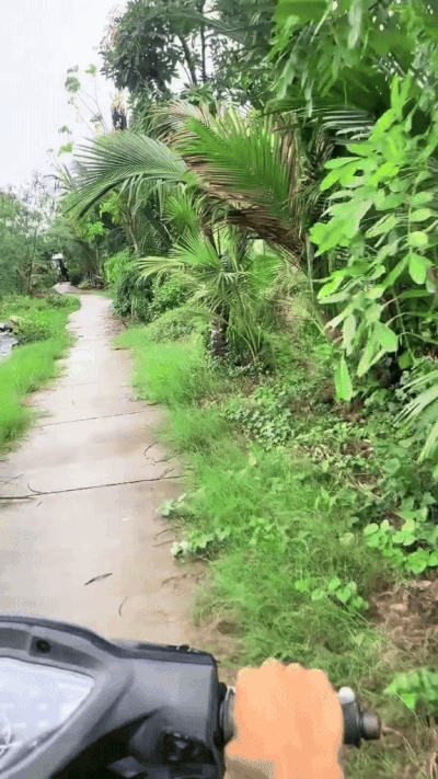 Căn nhà ở Cà Mau có con đường đâm xuyên, ngày đêm phải mở cửa cho xe máy chạy qua- Ảnh 1.