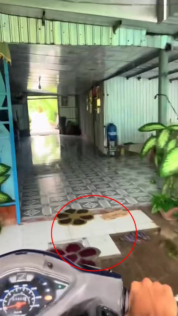 Căn nhà ở Cà Mau có con đường đâm xuyên, ngày đêm phải mở cửa cho xe máy chạy qua- Ảnh 3.