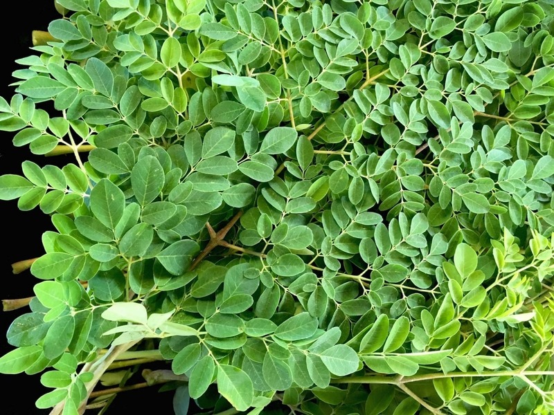 Tưởng trà xanh là số 1 chống oxy hóa, ai ngờ loại lá 30.000đ/kg ở chợ Việt Nam mới là quán quân- Ảnh 1.