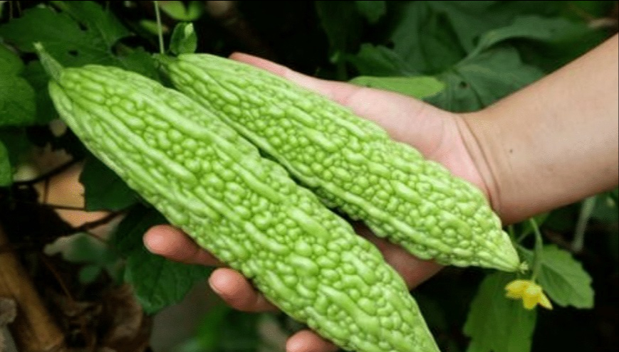 Mẹ tôi - người phụ nữ nông thôn ít học nhưng lại là 
