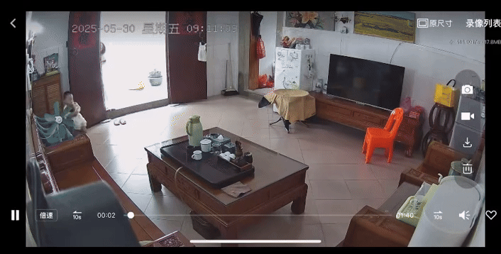 Thấy búp măng non lặc lè bước ra phòng khách, người phụ nữ tá hỏa, vội vàng chạy đến để giải cứu "búp bê"- Ảnh 1.