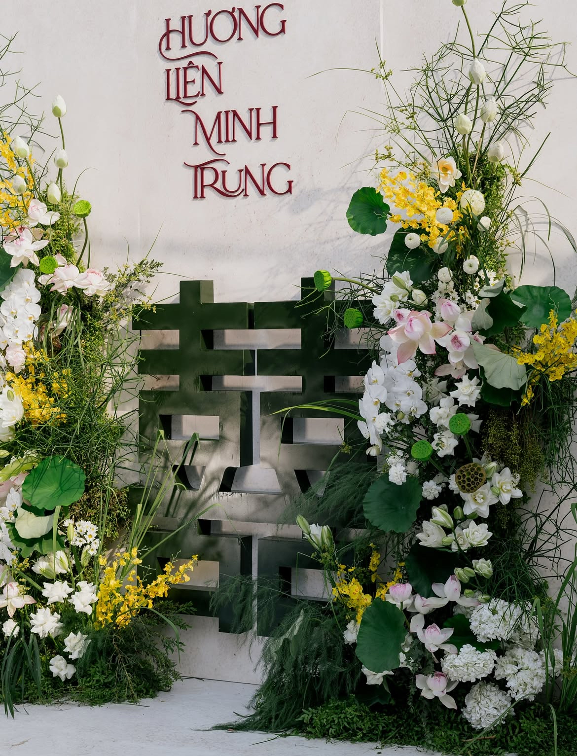 Cận visual nét căng của 