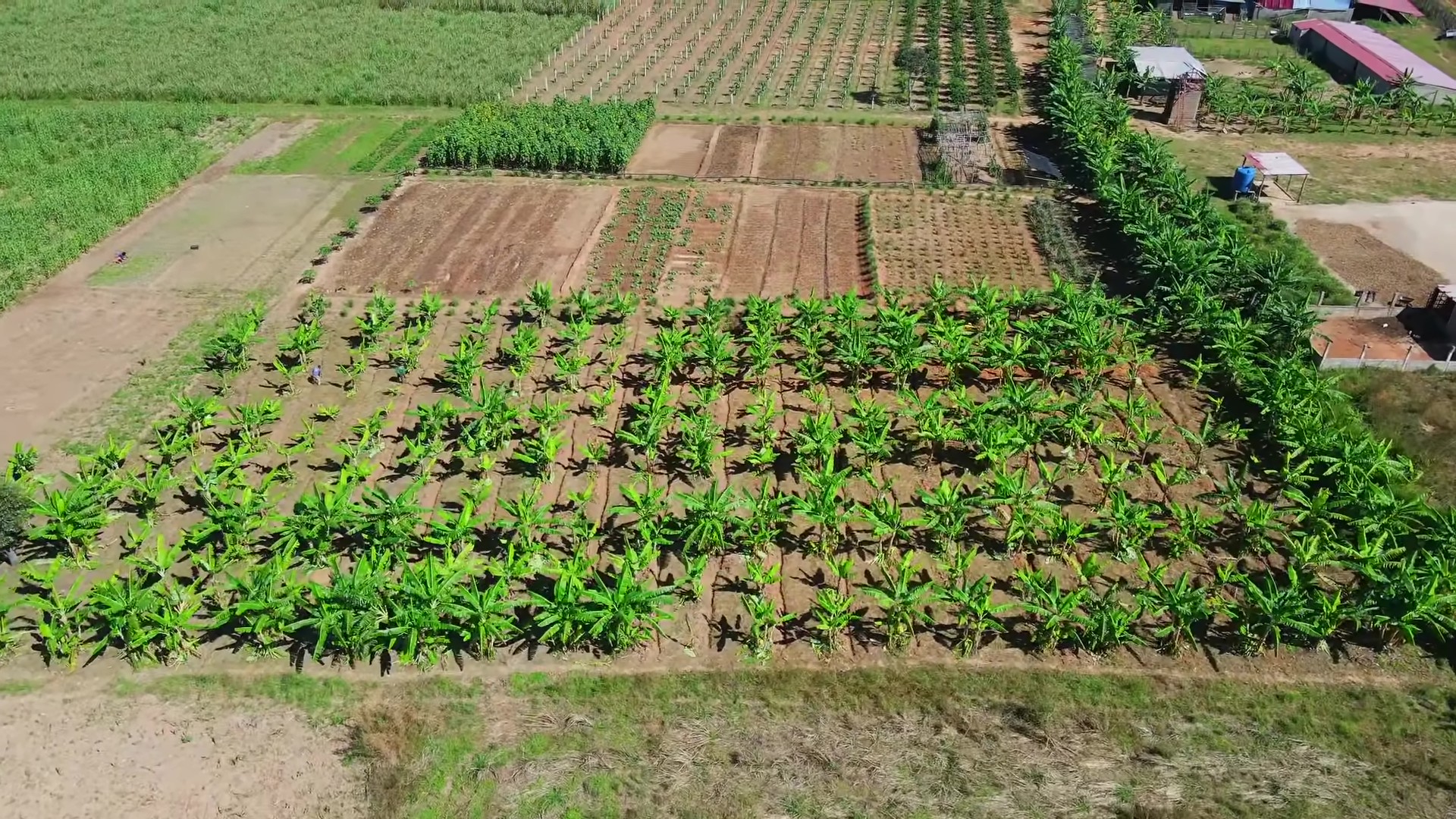 Toàn cảnh trang trại được Quang Linh rót vốn tiền tỷ: Hiện trạng ra sao sau 2 tháng ông chủ gặp biến cố- Ảnh 2.