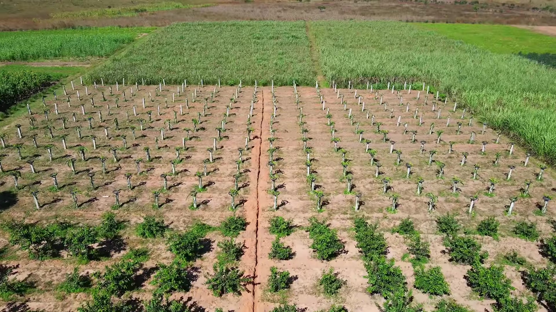 Toàn cảnh trang trại được Quang Linh rót vốn tiền tỷ: Hiện trạng ra sao sau 2 tháng ông chủ gặp biến cố- Ảnh 4.
