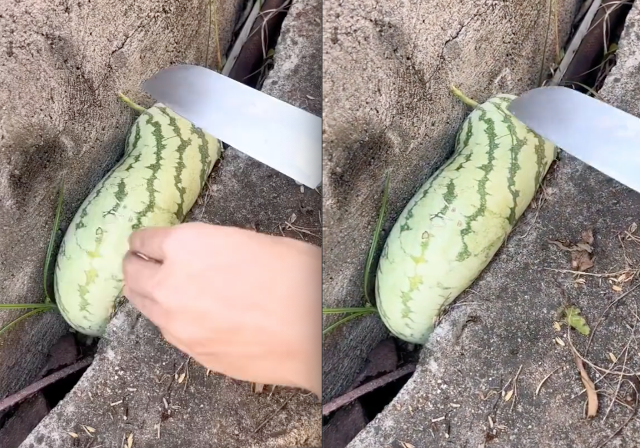 Quả dưa hấu 