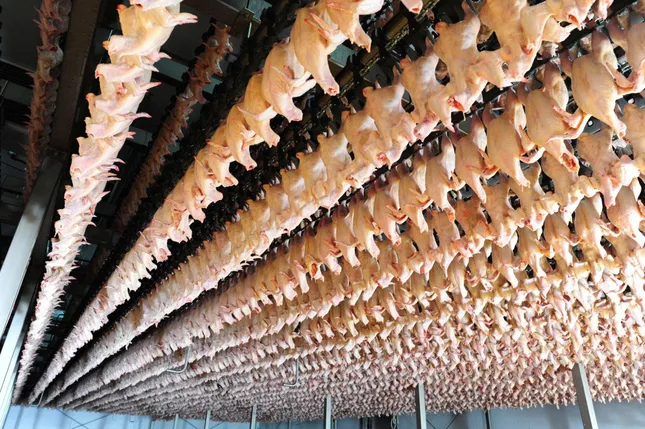 Tiếp tục kiểm tra nhà máy giết mổ của Công ty C.P Việt Nam tại Hà Nội- Ảnh 1.