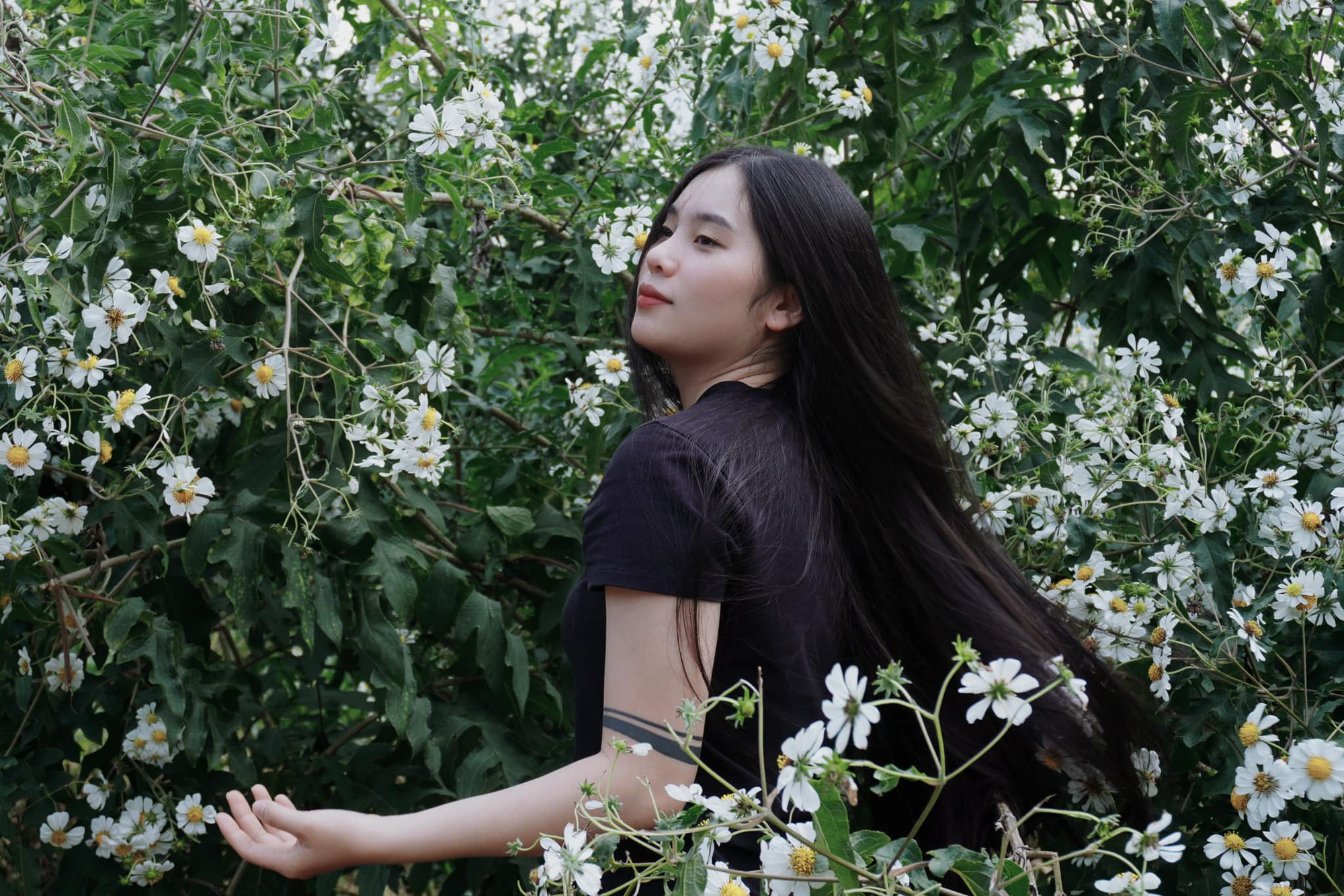 Từng bị hư tổn, gãy rụng cả búi do nhuộm tẩy tóc, cô nàng 