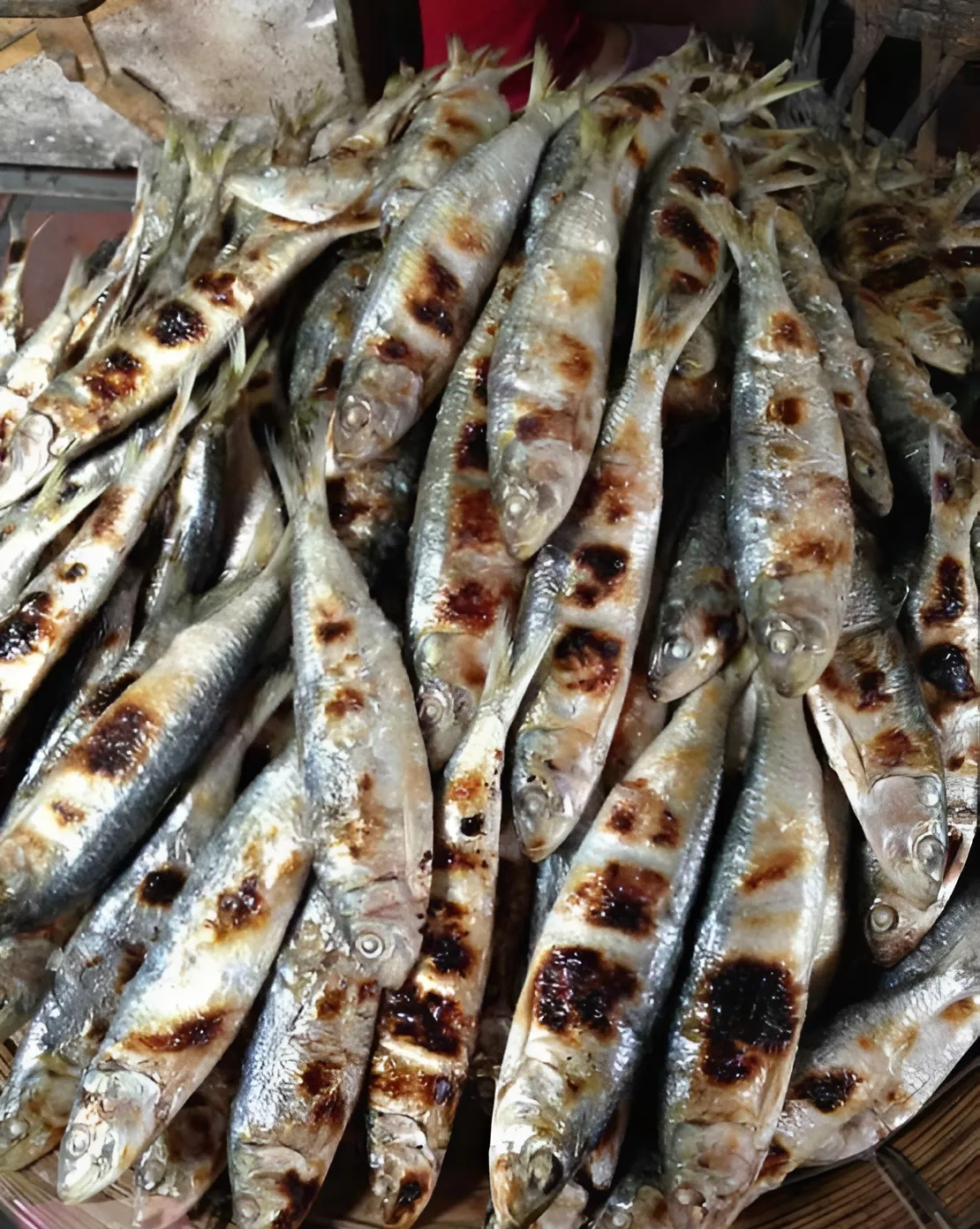 7 loại cá được ví như 