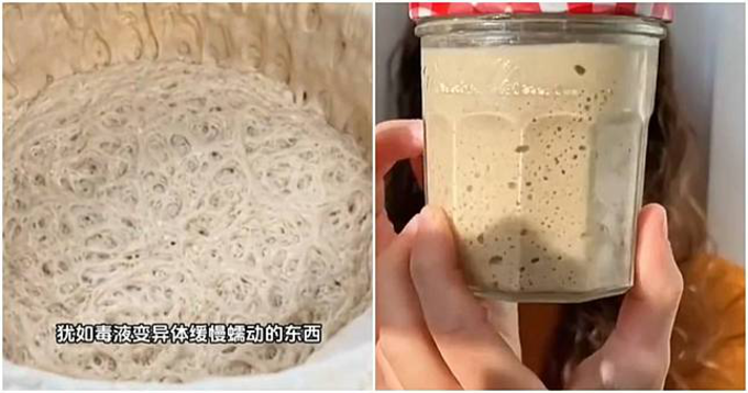 Lười nhưng thích "chữa lành", giới trẻ Trung Quốc nuôi nấm men làm thú cưng- Ảnh 1.