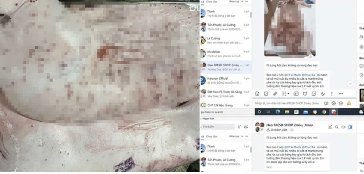 Chủ tịch UBND tỉnh Hậu Giang chỉ đạo "nóng" sau vụ C.P. Việt Nam bị "tố" bán thịt heo bệnh- Ảnh 1.