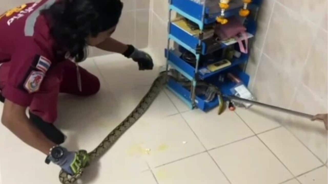 Trời nóng nên để cửa mở rồi đi ngủ cho mát, 3 giờ sáng cặp đôi tỉnh dậy phát hiện cảnh tượng đáng sợ- Ảnh 1.