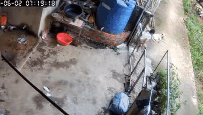 Búp măng non vượt ngàn chông gai để trốn nhà đi chơi, xem lại camera, mẹ bé muốn cạn lời khi thấy con ôm "bạn tri kỷ" ngủ giữa đường!- Ảnh 2.