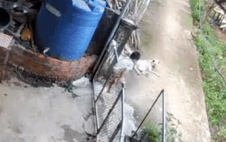 Búp măng non vượt ngàn chông gai để trốn nhà đi chơi, xem lại camera, mẹ bé muốn cạn lời khi thấy con ôm "bạn tri kỷ" ngủ giữa đường!- Ảnh 1.