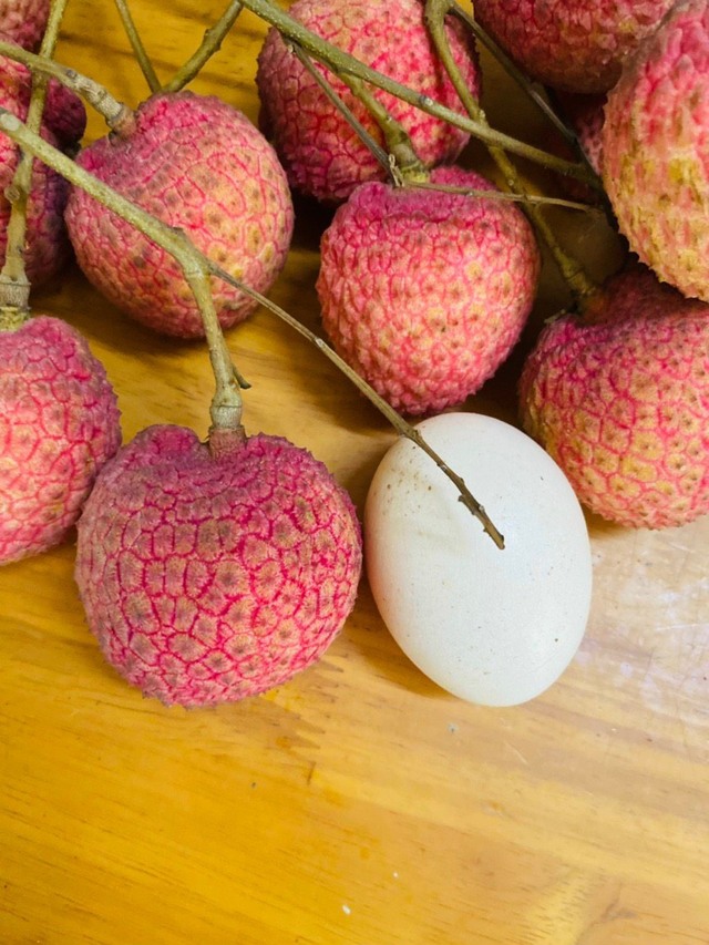 Loại vải hơn 10.000đ/quả, to bằng trứng gà: Người ăn nhận xét "Chưa bao giờ ăn vải nào ngon thế này"- Ảnh 1.