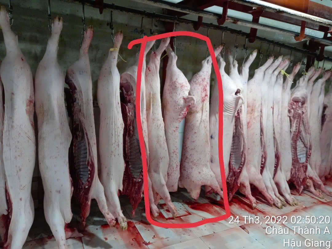 Vụ tố cửa hàng C.P. Việt Nam: Ông L.Q.N lại tung thêm bằng chứng?- Ảnh 1. Vụ tố cửa hàng C.P. Việt Nam: Ông L.Q.N lại tung thêm bằng chứng?- Ảnh 1.