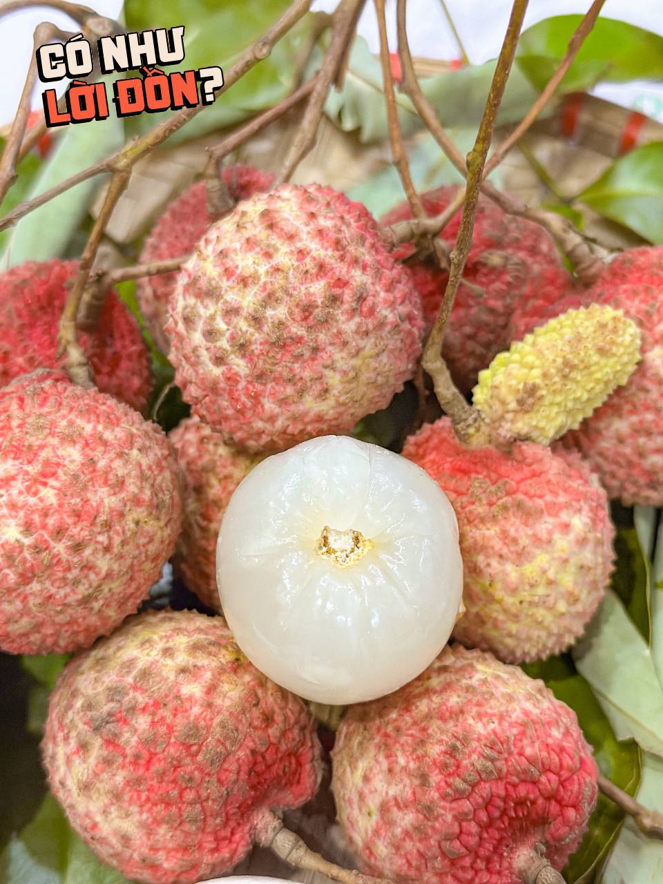 Bỏ 1,2 triệu để mua 5kg vải trứng: Kích thước 