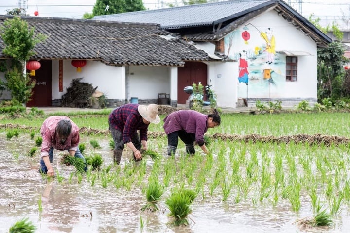Lật lại vụ án 32 năm, tìm ra kẻ sát hại mẹ và bạn gái rồi bỏ trốn cùng chị dâu- Ảnh 2.