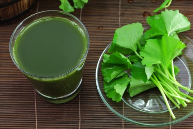 Sau 40 tuổi, phụ nữ nên thêm 5 loại rau này vào bữa ăn để tái tạo tế bào, kích thích sản sinh collagen xóa nếp nhăn và bệnh tật- Ảnh 5.