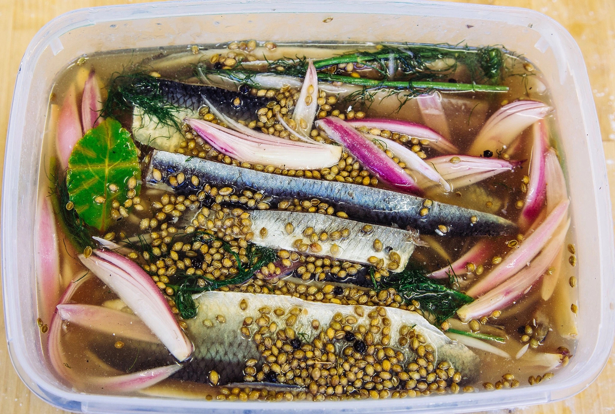 Kỳ lạ loại cá 