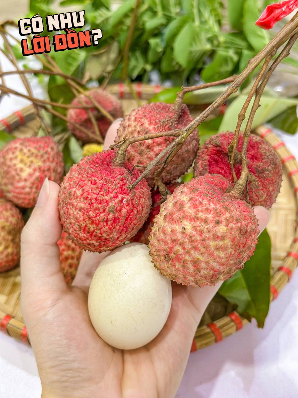 Bỏ 1,2 triệu để mua 5kg vải trứng: Kích thước 