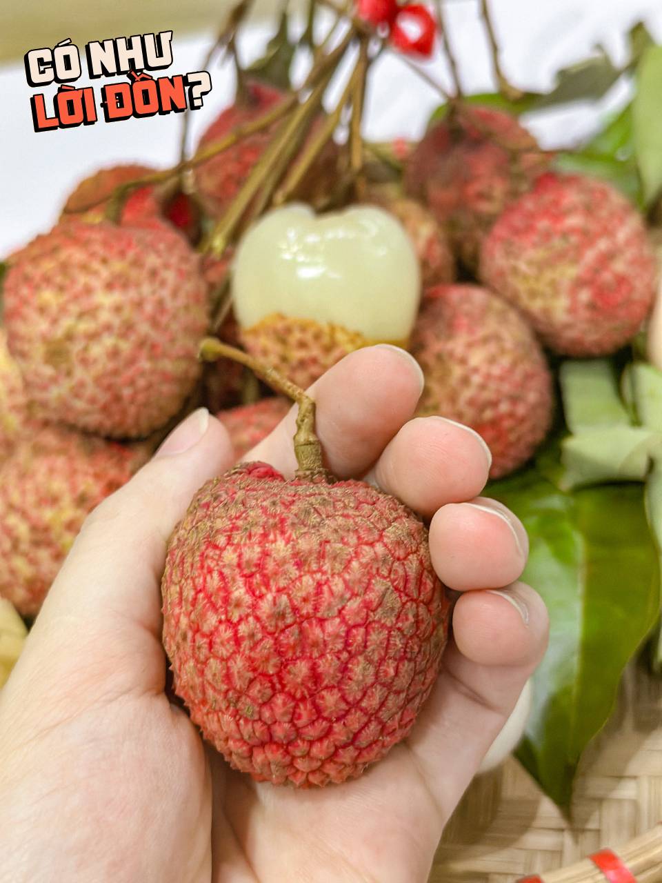 Bỏ 1,2 triệu để mua 5kg vải trứng: Kích thước 