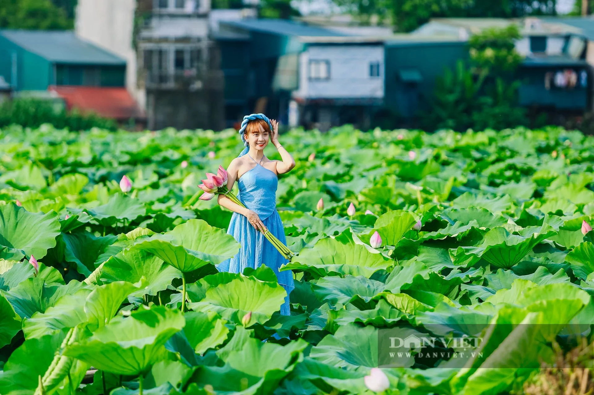 Những đầm sen đẹp nức tiếng quanh Hà Nội khiến hội sống ảo "lịm tim": Chị em sửa soạn lên đồ check-in ngay kẻo lỡ!- Ảnh 20.