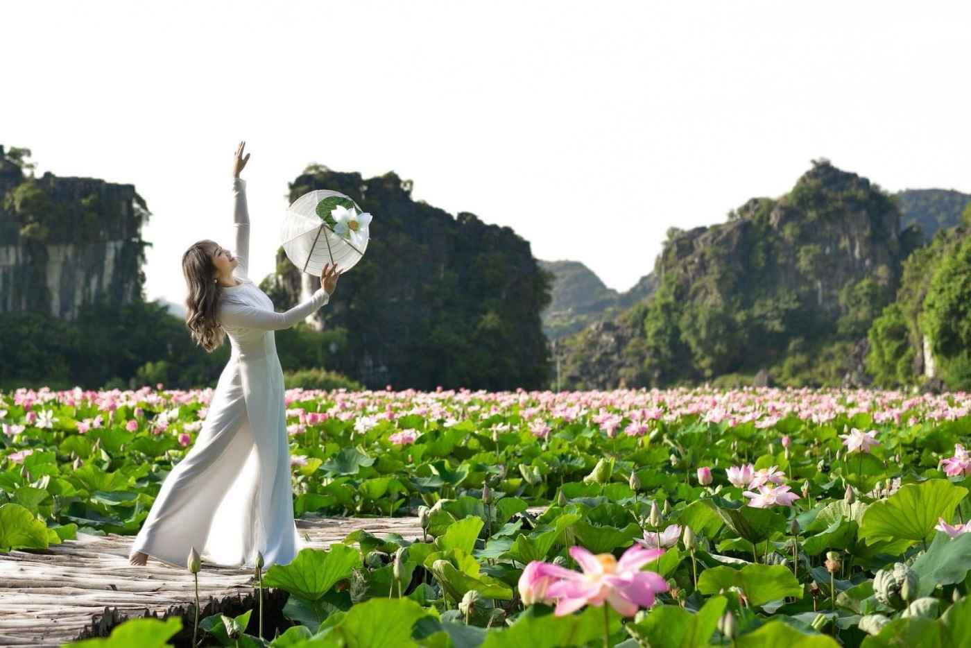 Những đầm sen đẹp nức tiếng quanh Hà Nội khiến hội sống ảo "lịm tim": Chị em sửa soạn lên đồ check-in ngay kẻo lỡ!- Ảnh 24.