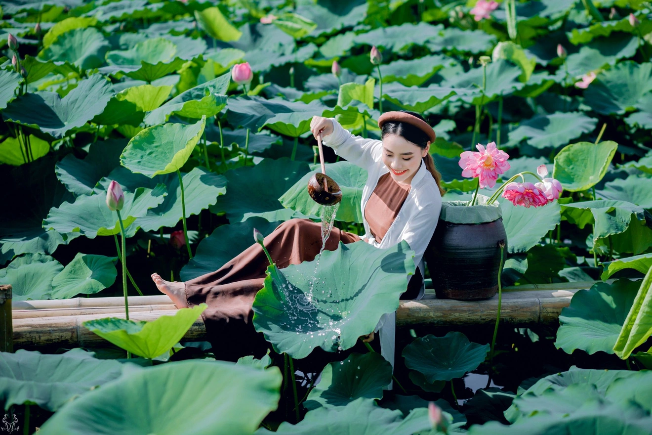 Những đầm sen đẹp nức tiếng quanh Hà Nội khiến hội sống ảo 