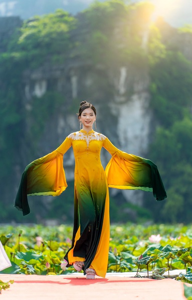 Những đầm sen đẹp nức tiếng quanh Hà Nội khiến hội sống ảo 