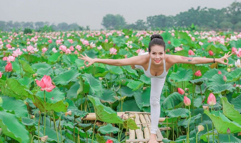 Những đầm sen đẹp nức tiếng quanh Hà Nội khiến hội sống ảo 