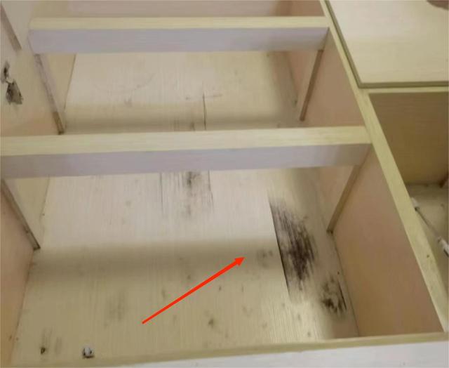 Tôi học theo 5 mẫu thiết kế đang hot trên mạng để cải tạo nhà và trả giá đắt chỉ sau 3 tháng dọn về- Ảnh 4.