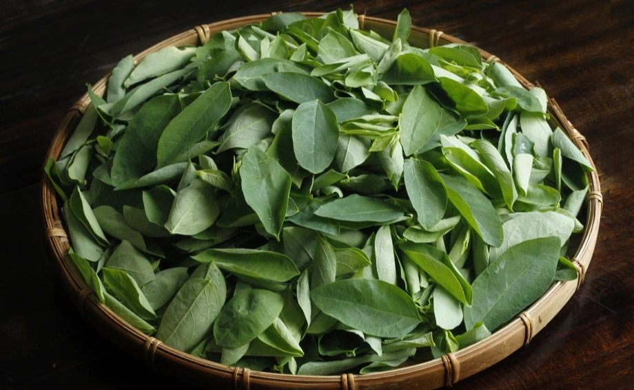 Loại rau bình dân 3.000đ một mớ, giàu sắt gấp 7 lần thịt bò, chợ Việt bán vô số mà nhiều người không biết mua- Ảnh 1.