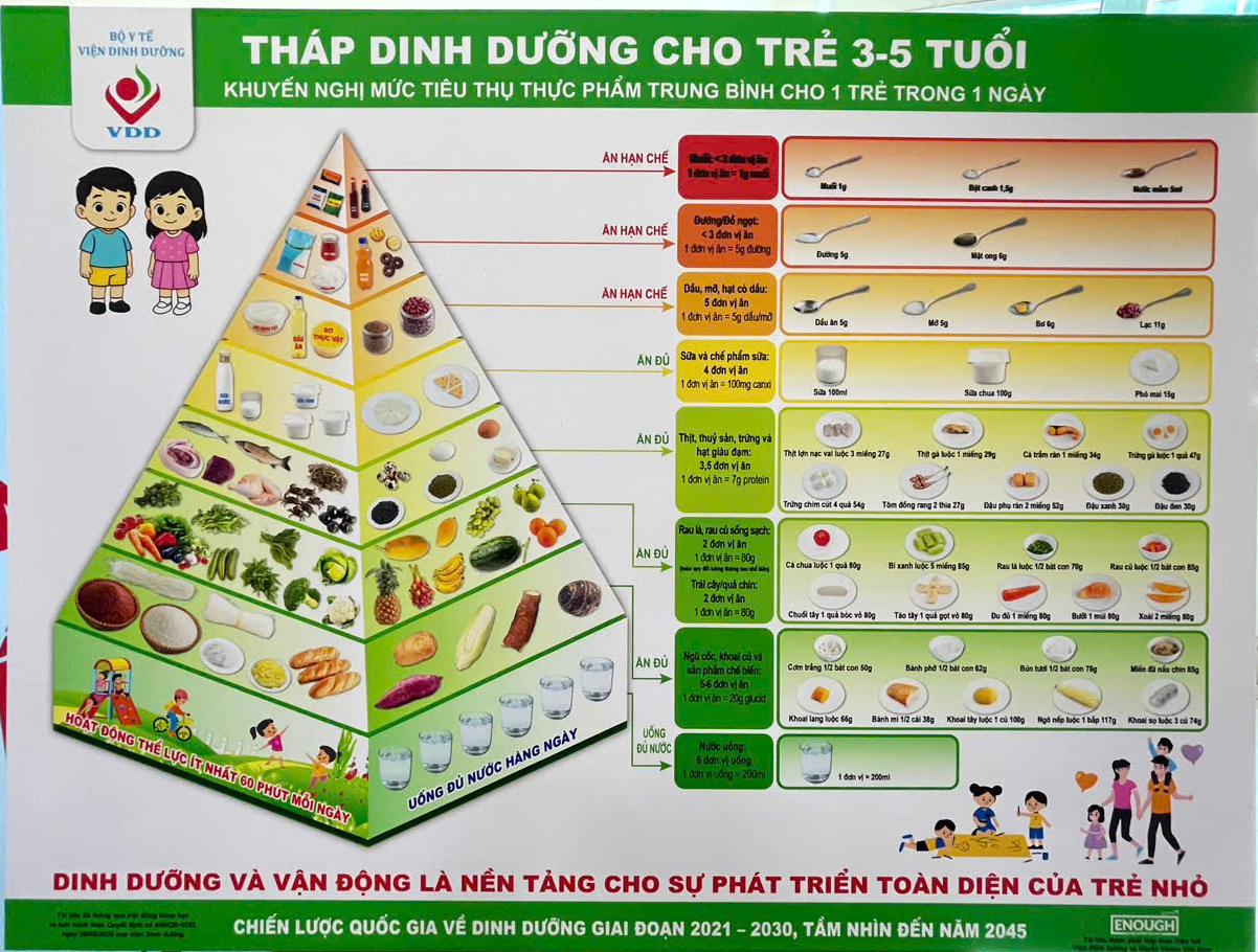 Việt Nam lần đầu có 6 tháp dinh dưỡng theo tuổi- Ảnh 4.