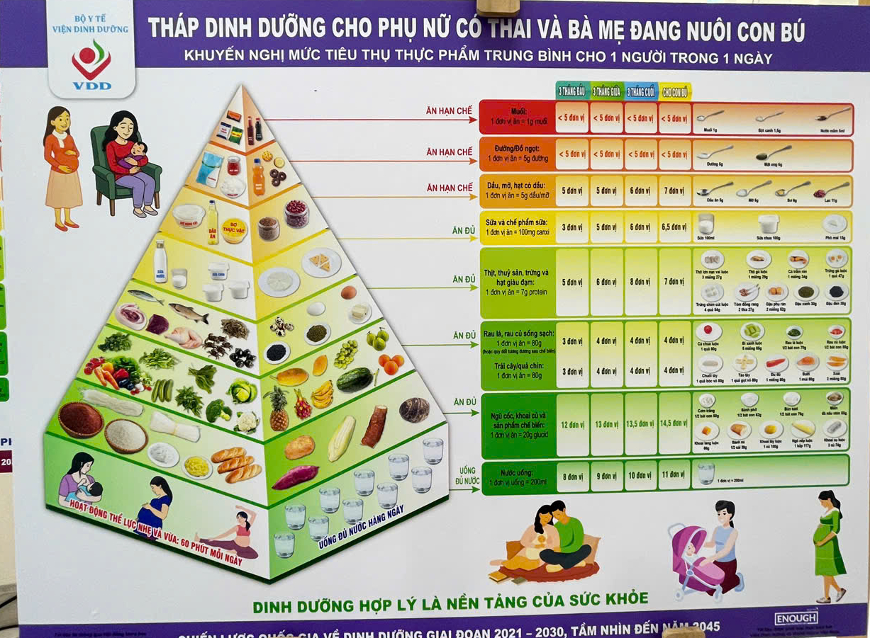 Việt Nam lần đầu có 6 tháp dinh dưỡng theo tuổi- Ảnh 3.