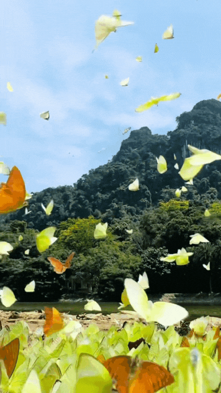 Trải nghiệm thế giới "Ghibli đời thực" ngay gần Hà Nội: Nơi này đang chờ bạn với những cánh rừng đậm chất cổ tích và một nhịp sống đủ chậm để nhớ cả đời!- Ảnh 3.