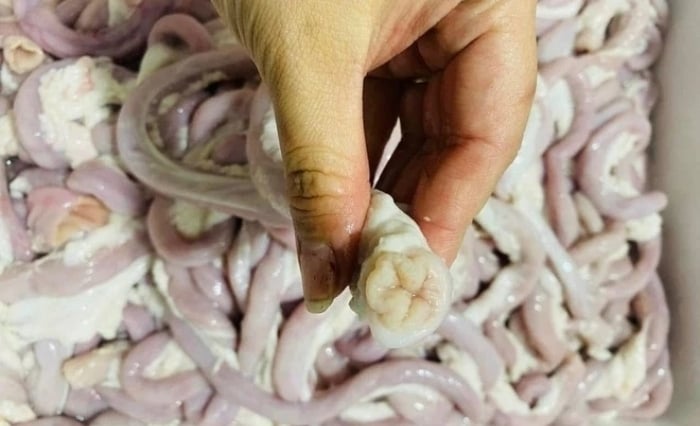 Người phụ nữ bán lòng lợn nhiễm liên cầu khuẩn- Ảnh 1. Người phụ nữ bán lòng lợn nhiễm liên cầu khuẩn- Ảnh 1.